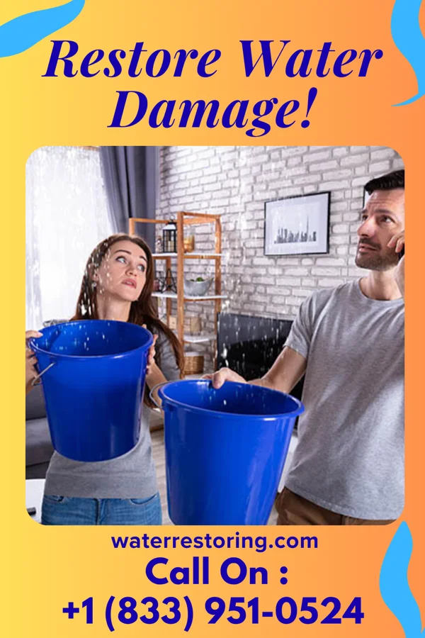 water restoration Guardian Water Damage LLC Burt
